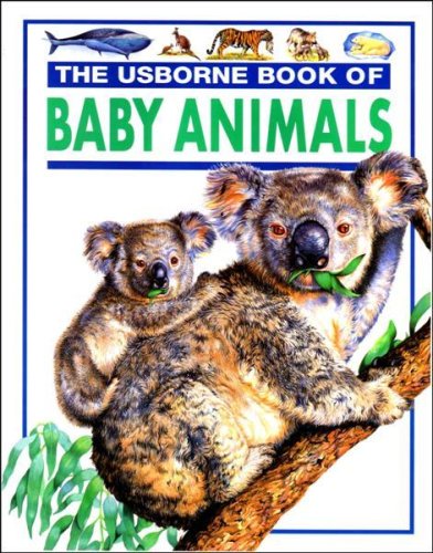 Book cover for The Usborne Book of Baby Animals