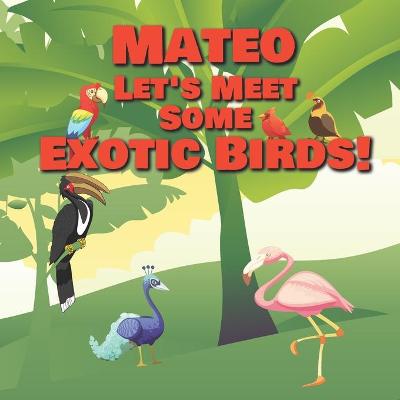 Book cover for Mateo Let's Meet Some Exotic Birds!