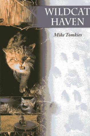 Cover of Wildcat Haven