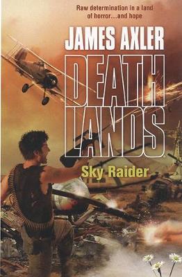 Book cover for Sky Raider