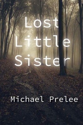 Book cover for Lost Little Sister