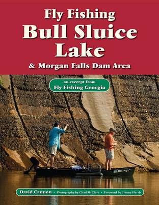 Book cover for Fly Fishing Bull Sluice Lake & Morgan Falls Dam Area