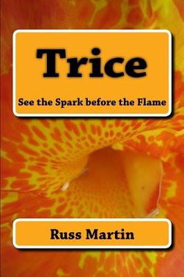 Book cover for Trice