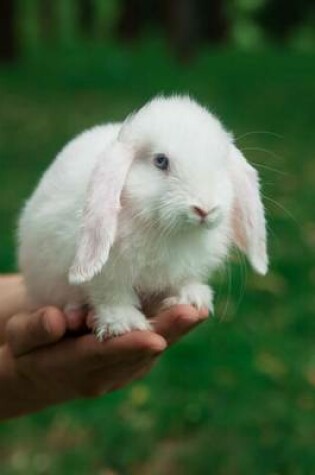 Cover of Cutest Little White Lop-Eared Bunny Rabbit Journal