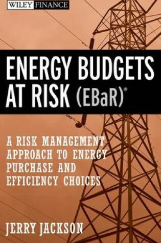 Cover of Energy Budgets at Risk (EBaR)