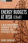 Book cover for Energy Budgets at Risk (EBaR)