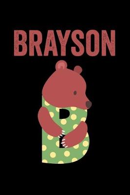 Book cover for Brayson