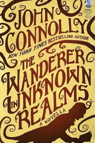 Cover of The Wanderer in Unknown Realms