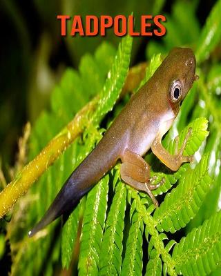 Book cover for Tadpoles