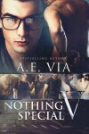 Book cover for Nothing Special V
