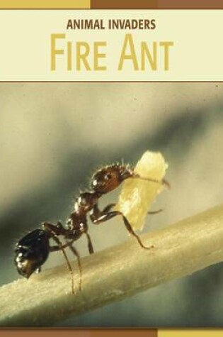 Cover of Fire Ant