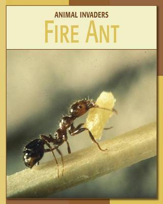 Book cover for Fire Ant