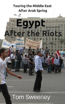 Book cover for Egypt After the Riots