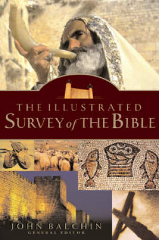 Cover of The Illustrated Survey of the Bible