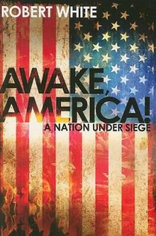 Cover of Awake America