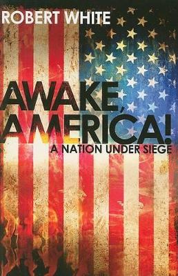 Book cover for Awake America