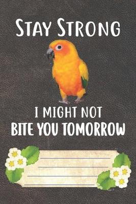 Book cover for Stay Strong I Might Not Bite You Tomorrow Notebook Journal