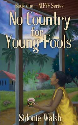 Book cover for No Country For Young Fools