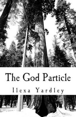 Book cover for The God Particle