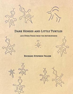 Book cover for Dark Horses and Little Turtles