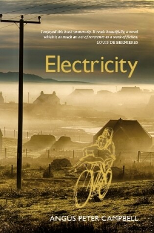 Cover of Electricity