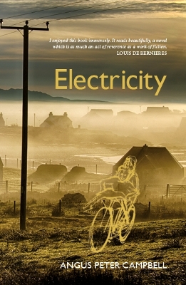 Book cover for Electricity