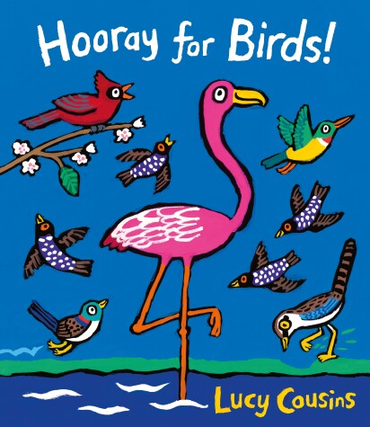 Book cover for Hooray for Birds!