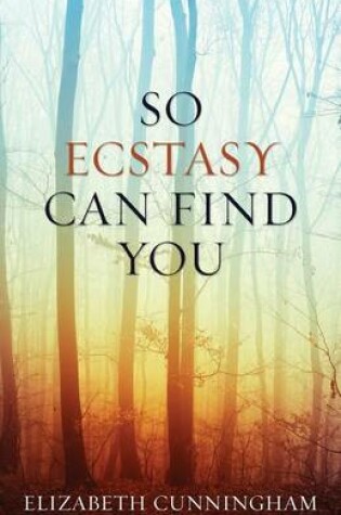 Cover of So Ecstasy Can Find You