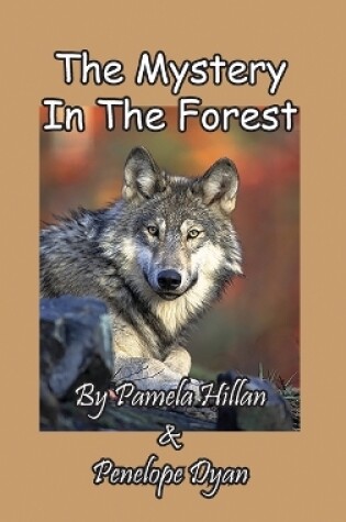 Cover of The Mystery In The Forest
