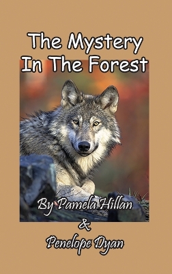 Book cover for The Mystery In The Forest