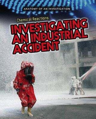 Book cover for Chemical Reactions: Investigating an Industrial Accident (Anatomy of an Investigation)