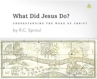 Book cover for What Did Jesus Do?