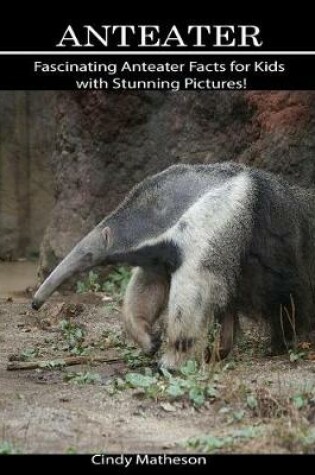 Cover of Anteater