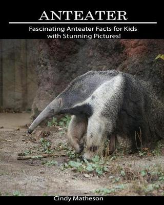 Book cover for Anteater