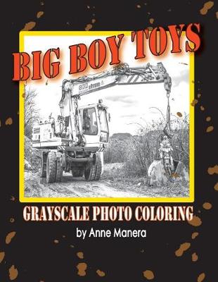 Book cover for Big Boy Toys