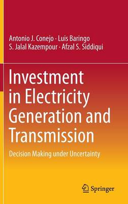 Book cover for Investment in Electricity Generation and Transmission