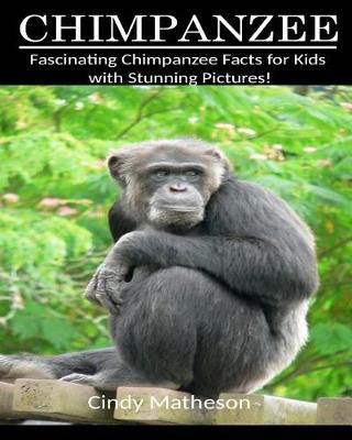 Book cover for Chimpanzee