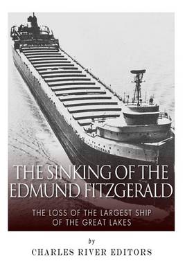 Book cover for The Sinking of the Edmund Fitzgerald