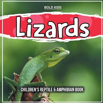 Book cover for Lizards