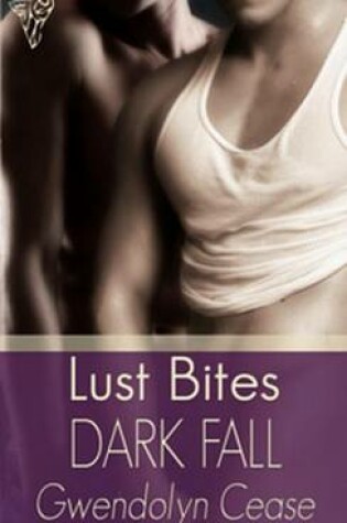 Cover of Dark Fall