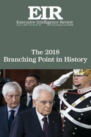 Cover of The 2018 Branching Point in History