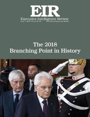 Book cover for The 2018 Branching Point in History