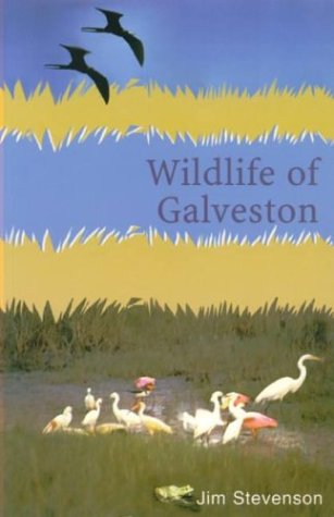 Book cover for Wildlife of Galveston