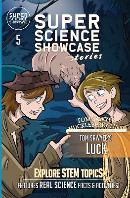 Book cover for Tom Sawyer's Luck