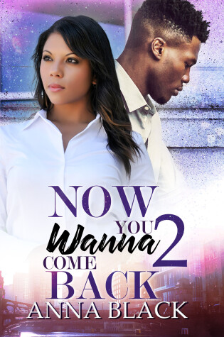 Cover of Now You Wanna Come Back 2