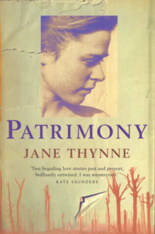 Cover of Patrimony