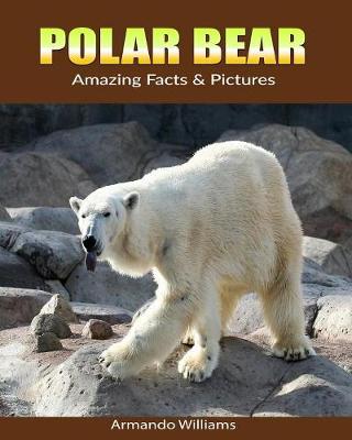 Book cover for Polar Bear