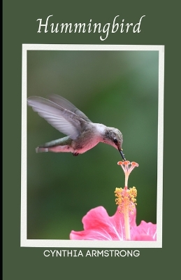 Book cover for Hummingbird