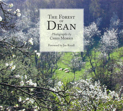 Book cover for The Forest of Dean