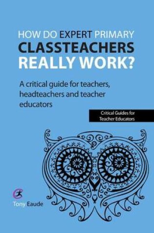 Cover of How Do Expert Primary Classteachers Really Work?